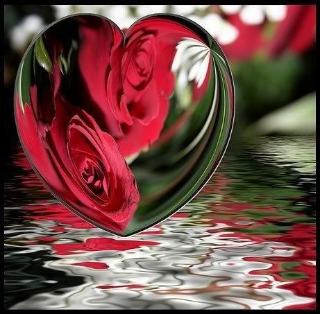 superbe coeur avec rose offert par mon amie CAROLINE