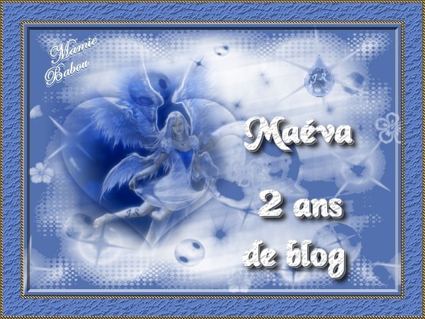 Cadeau offert par MAMIEBABOU pour mes 2 ans de blog