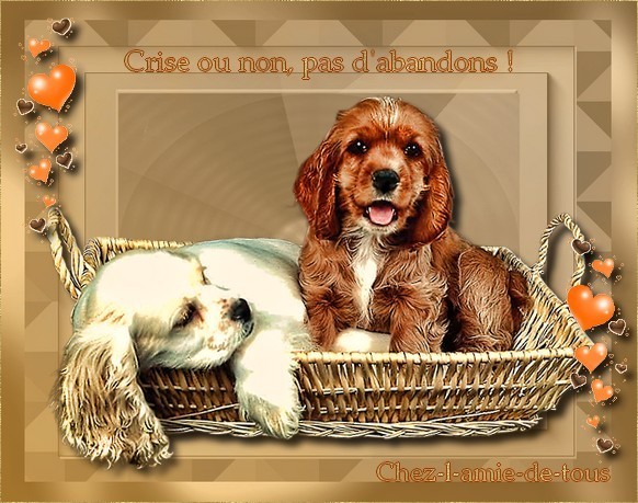 Chiens et coeur.jolie creation de L'AMIEdeTOUS