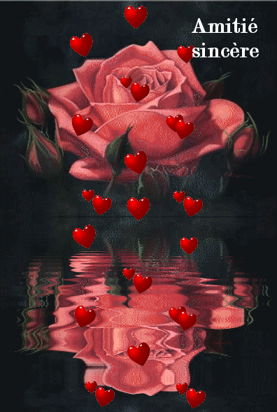 Rose d'Amitié avec reflet et pluie de coeurs