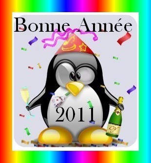 BONNE ANNEE 2011 de la part de notre Amie ARLETTE