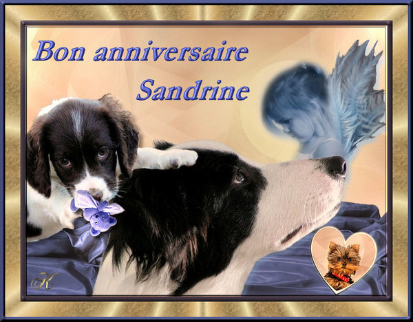 carte d'invitation joyeux anniversaire