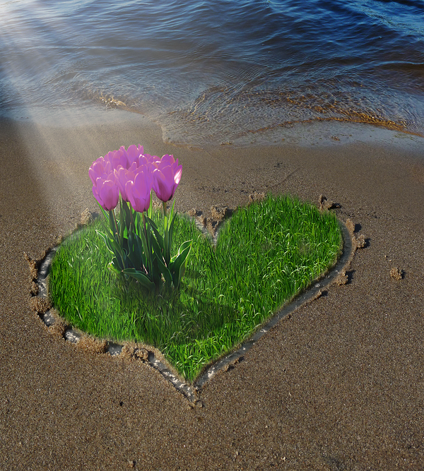 superbe coeur d'herbe sur le sable avec fleur