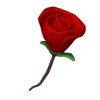 Prénom MONIQUE (13) dans une rose coeur animé