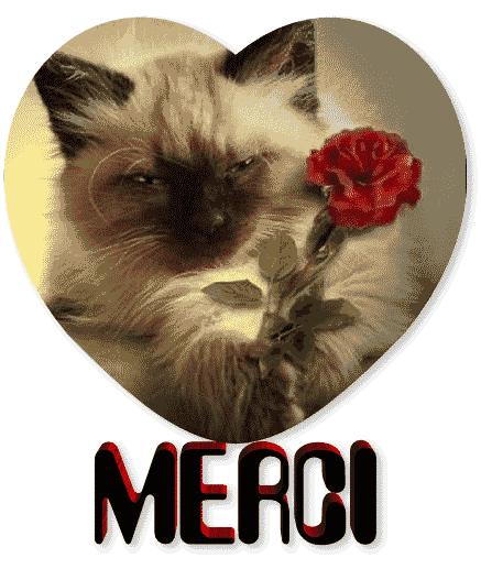 MERCI. Superbe coeur avec chaton et rose