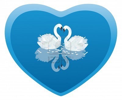 Cygnes dans un coeur bleu