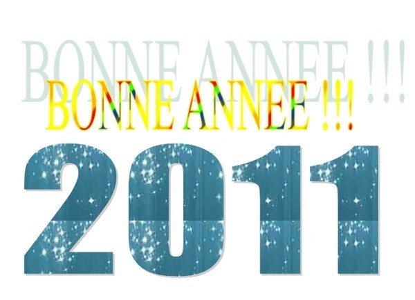 BONNE ANNEE 2011 de la part de notre ami BERTRAND