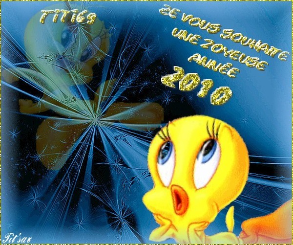 Bonne Année 2010 de la part d'ALAIN (titi69)