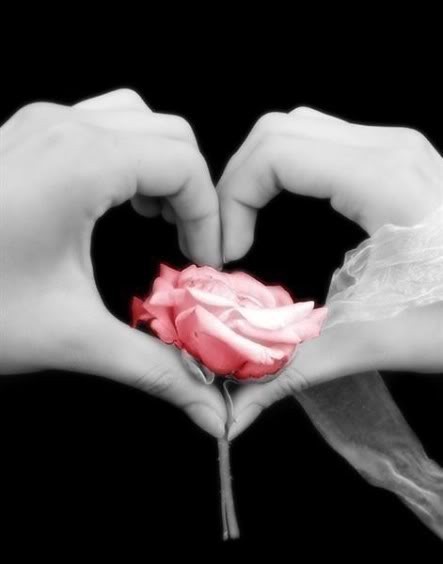 mains formant un coeur avec une rose