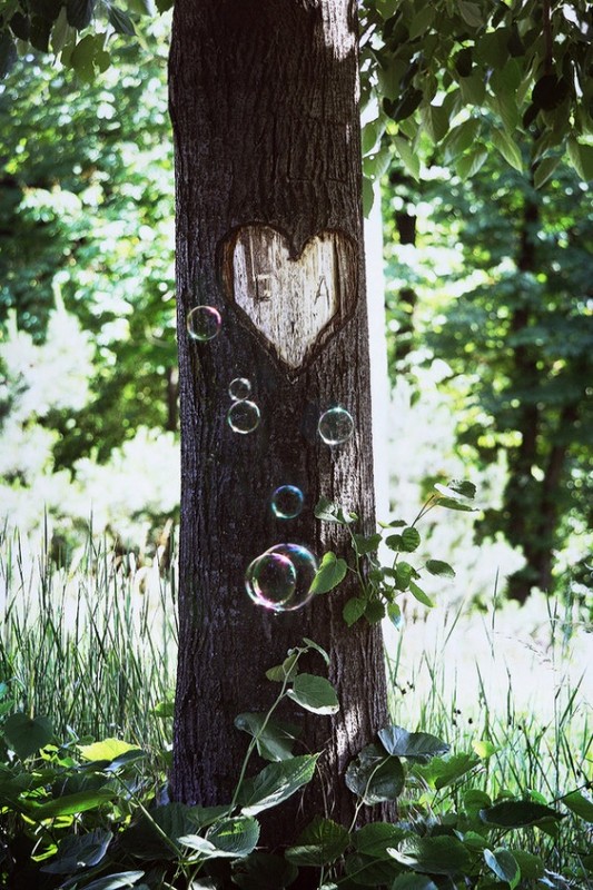 COEUR NATURE. un coeur gravé sur un arbre 