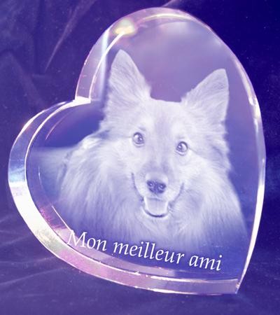 Chien en gravure sur Coeur de verre 