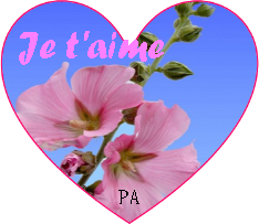 Joli petit coeur avec je t'aime 