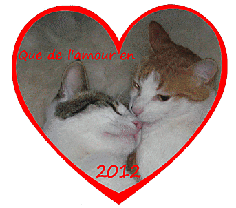 coeur et chat. Que du bonheur en 2012