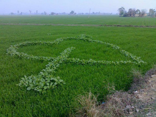 NATURE. immense coeur avec fleche