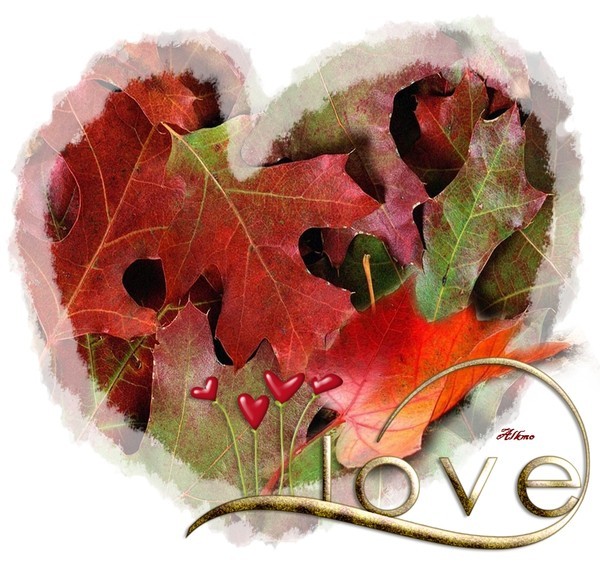 LOVE. un joli coeur d'automne créer par NICOLE