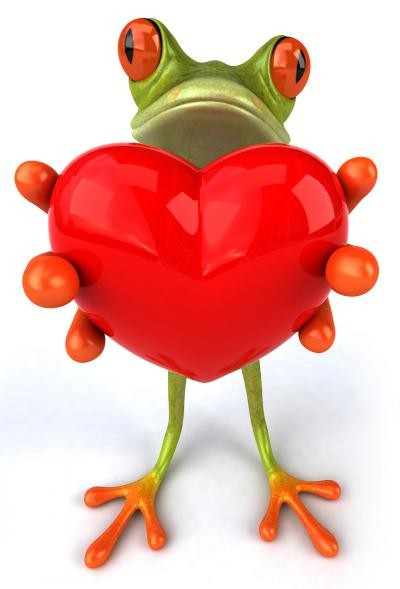 grenouille et coeur