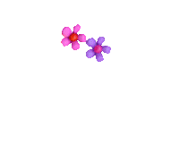 COEUR Animé de fleurs en couleurs