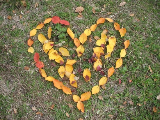 un coeur de feuille dans la nature