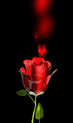 image d'une rose rouge avec coeurs animés