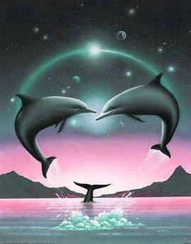 belle image de dauphins formant un coeur