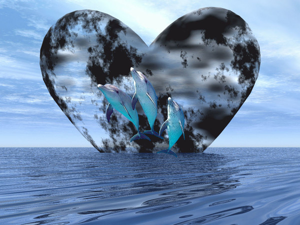 superbe coeur avec 3 dauphins dans l'ocean