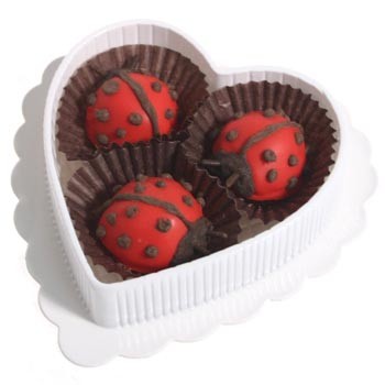 Coeur garnie de 3 gourmandes coccinelles