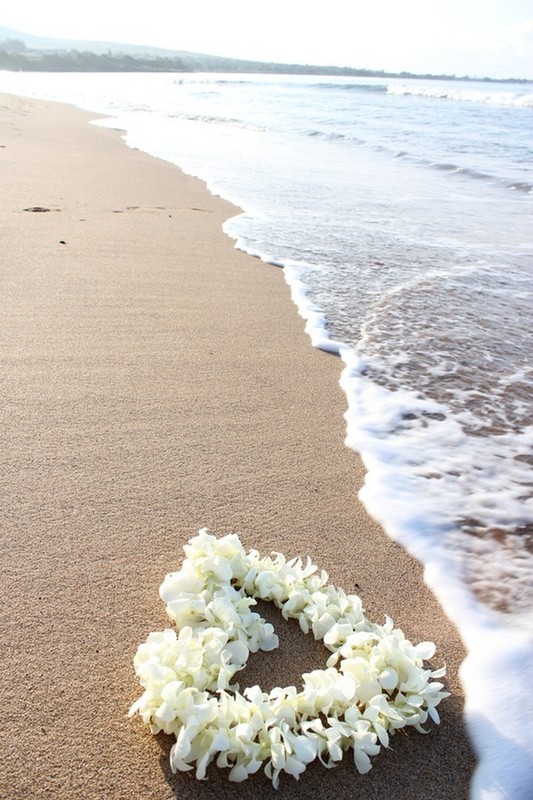 joli coeur de fleur sur le sable d'une plage