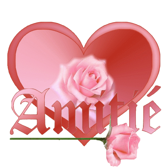 un joli coeur d'Amitié avec rose rose