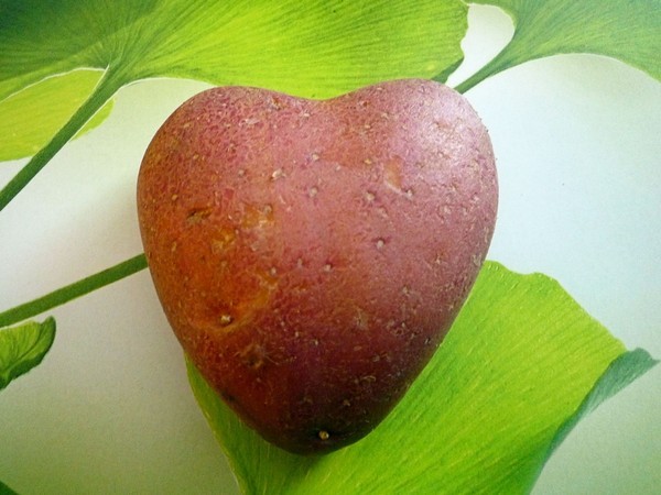 une pomme de terre d'Amour offerte par MONIQUE