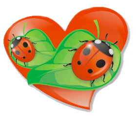 coccinelles dans coeur