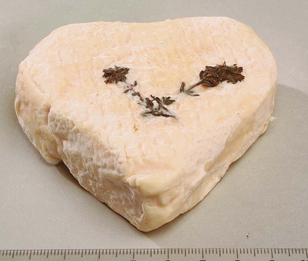 FROMAGE GOURMAND : coeur du berger 