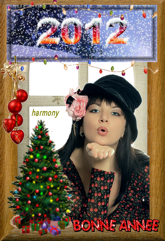 BONNE ANNEE 2012 offert par HARMONY