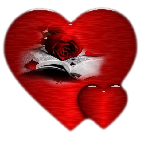 joli coeur rouge avec rose offert par patouwillem