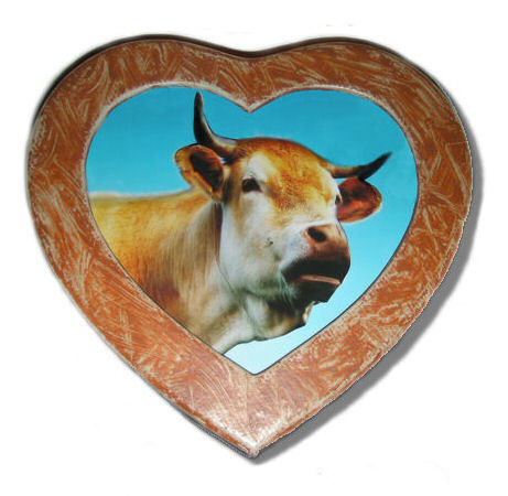 Vache dans coeur