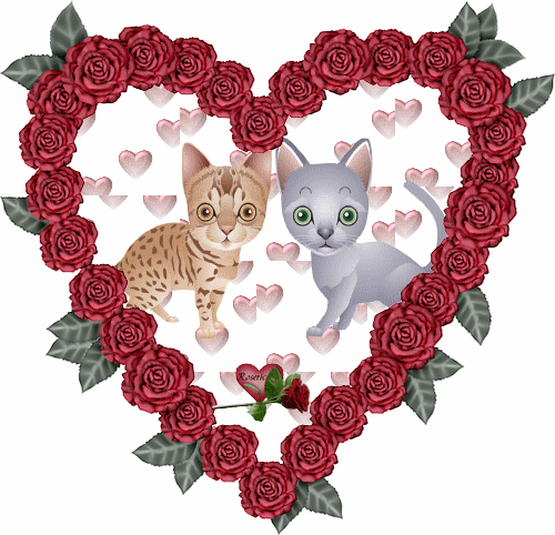 Deux chats marrants dans un coeur de roses