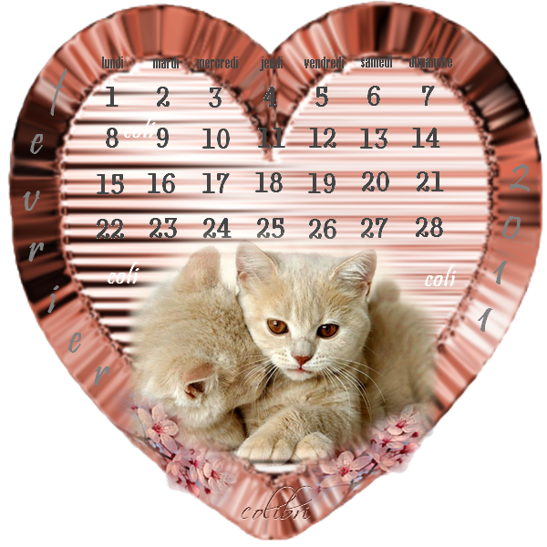 CALENDRIER FEVRIER 2011.adorables chatons