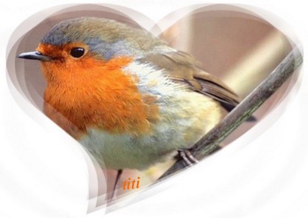 un joli oiseau dans un coeur crer par notre ami TITI