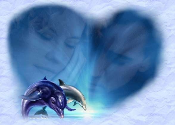 Couple dans coeur avec dauphin