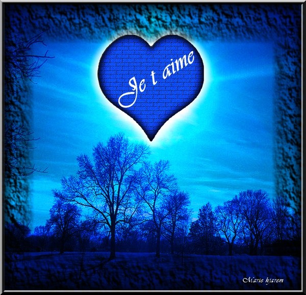 Je t'aime et coeur dans une belle image bleu