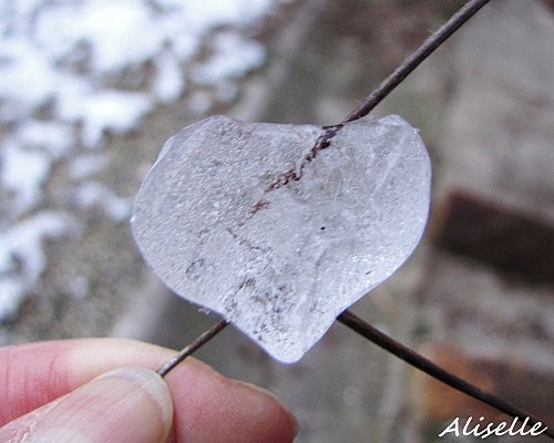 un joli petit coeur glacé pour vous raffraichir