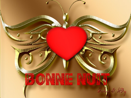 BONNE NUIT .joli papillon-coeur de HERBYE
