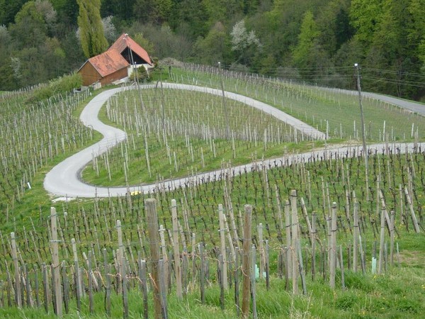 NATURE. une route qui prend la forme d'un coeur