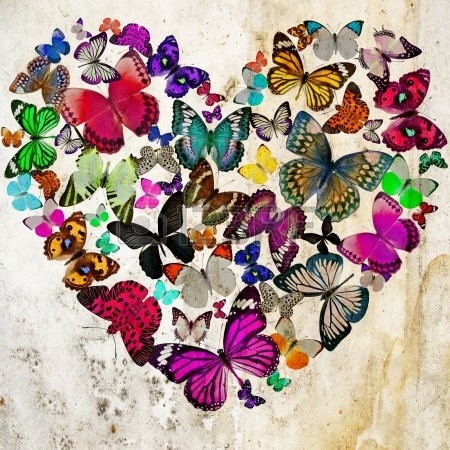 coeur de papillon