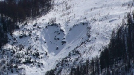 Coeur nature dans la neige