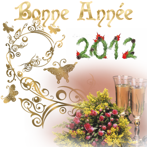 Bonne Année 2012 creation de Rosy