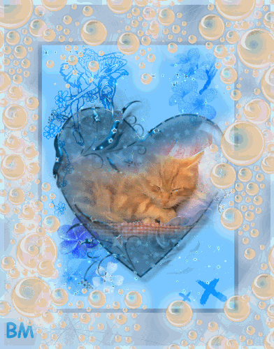 Un amour de chat dans un coeur