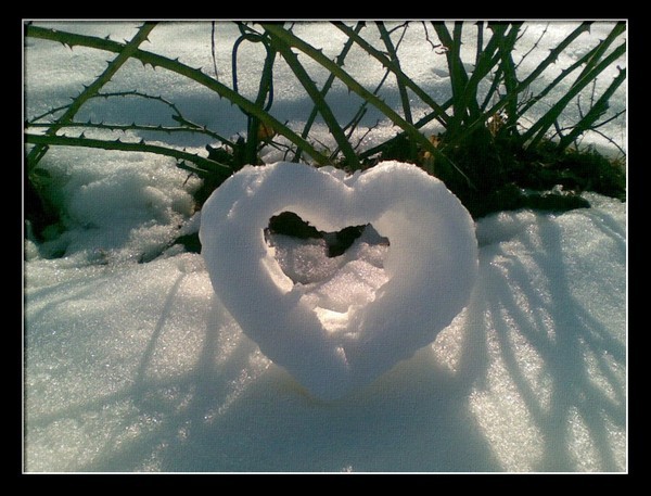 joli coeur de neige pour peut-etre une carte de ST.Valentin