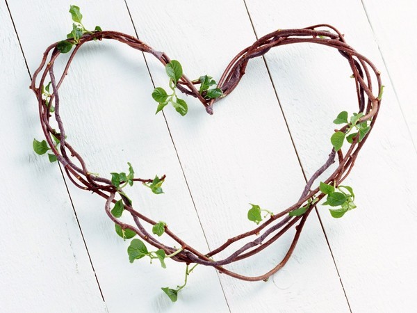 un joli coeur de branches et de feuilles