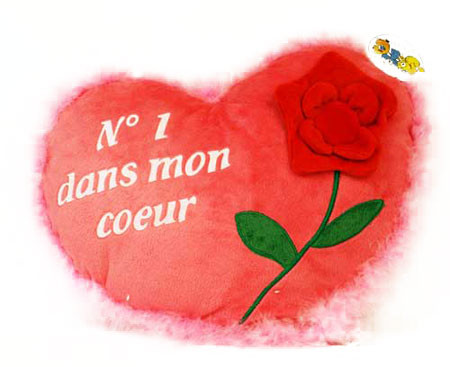 COUSSIN... N°1 dans mon coeur avec rose