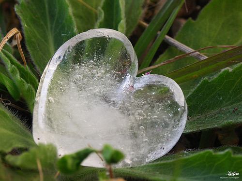 Un Coeur de glace pour un peu de fraicheur